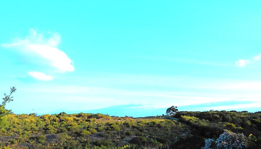 Onrus River Cottage Hermanus Exterior foto