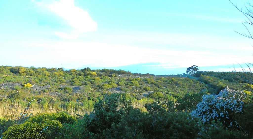 Onrus River Cottage Hermanus Exterior foto